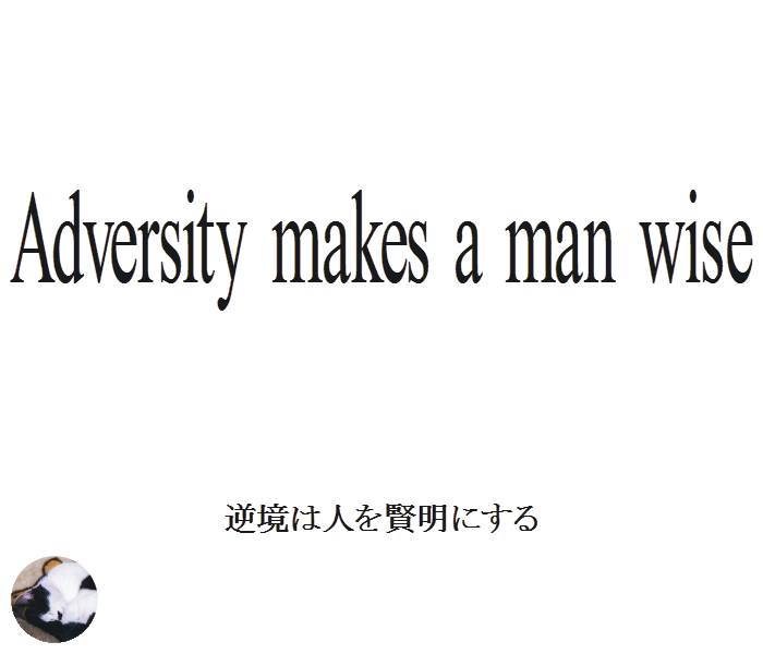 Adversity makes a man wise　逆境は人を賢明にする