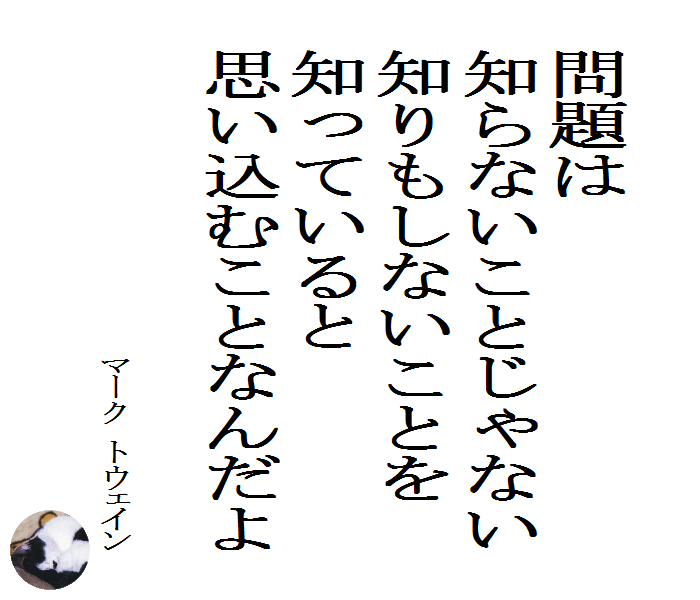 問題は知らないことじゃない　知りもしないことを知っていると思い込むことなんだよ　　マーク トウェイン