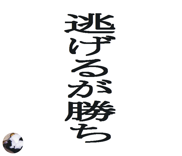 逃げるが勝ち
