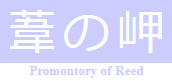 葦の岬